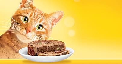 Purina Friskies Tuna Flavour Cat Food - 4 Flavors, 100% Balanced Nutrition - 48 Servings - Shoppers-kart.com