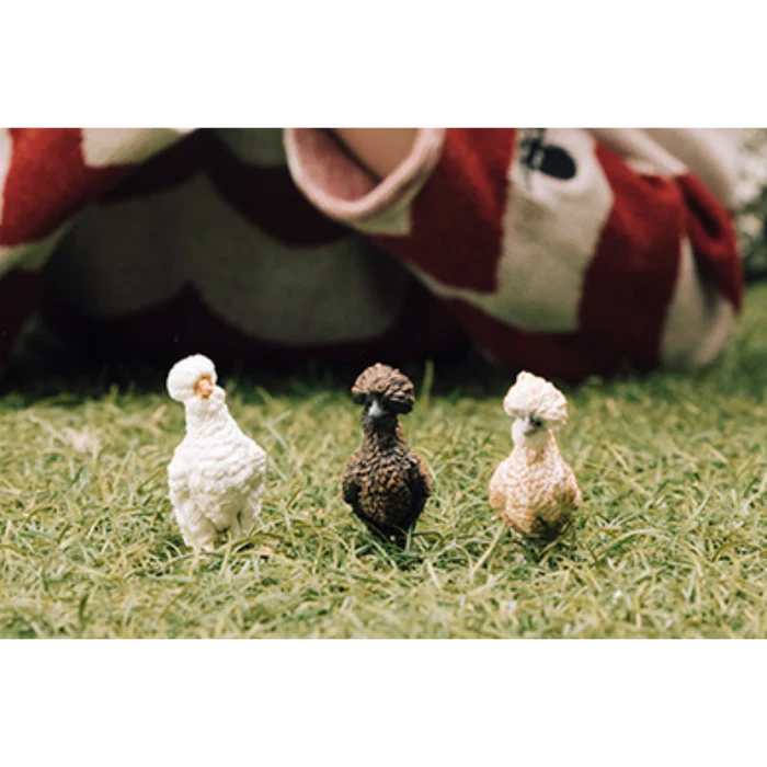 Schleich Farm World Chicken Friends