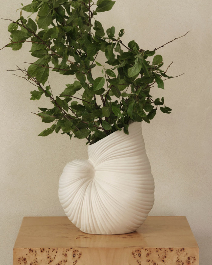 Shell Vase - Off-white