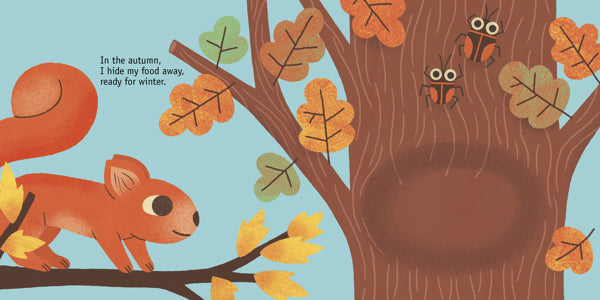 Squirrel Board Book