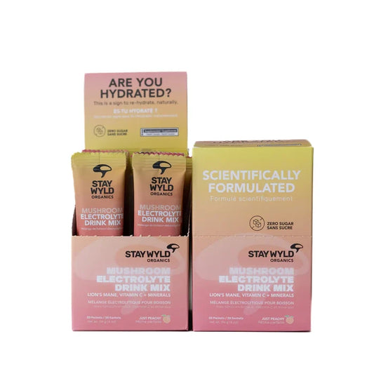 Stay Wyld: Electrolytes X Lion’s Mane