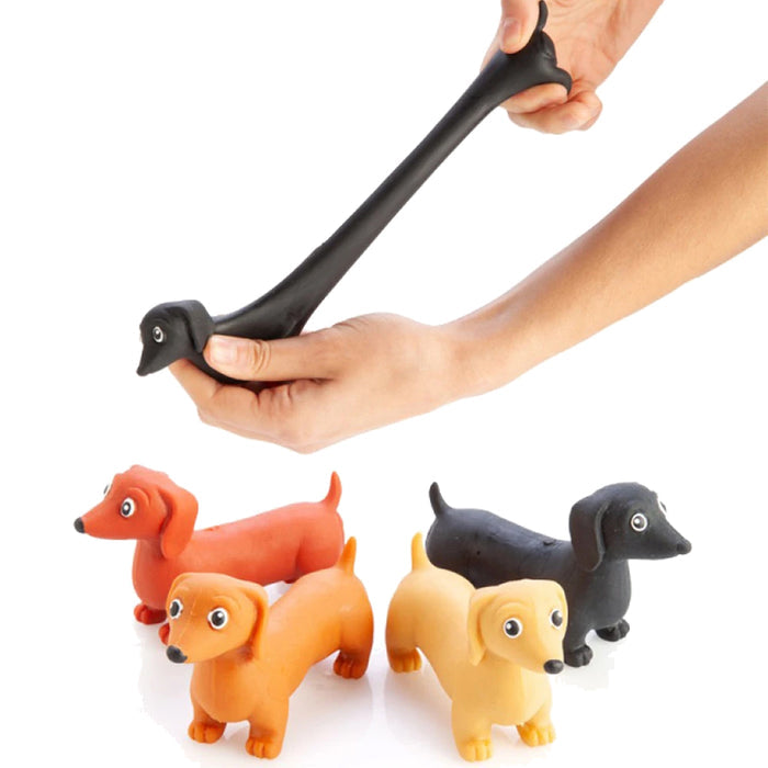 Stretch A Pet Dachshund