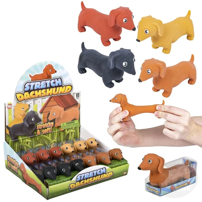 Stretch A Pet Dachshund