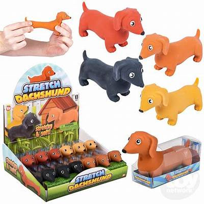 Stretch A Pet Dachshund
