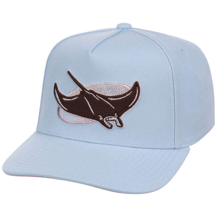 Tampa Bay Rays MLB Mitchell & Ness Cherry Blossom Pro Pinch