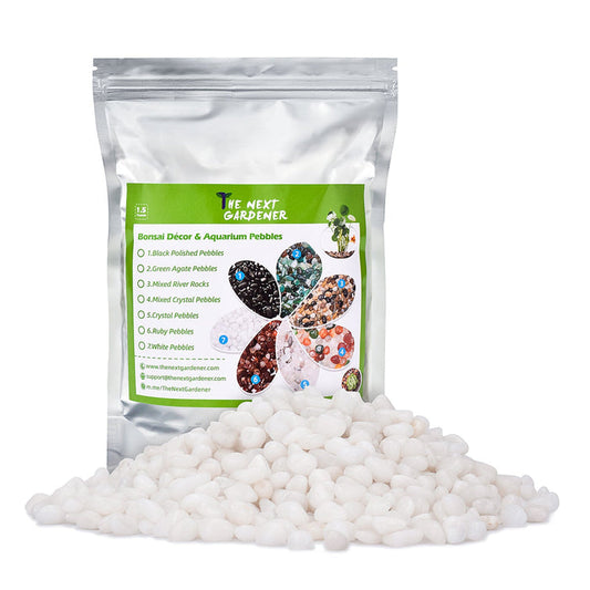 White Polished Pebbles for Succulents Plants Decorative, 9mm-12mm