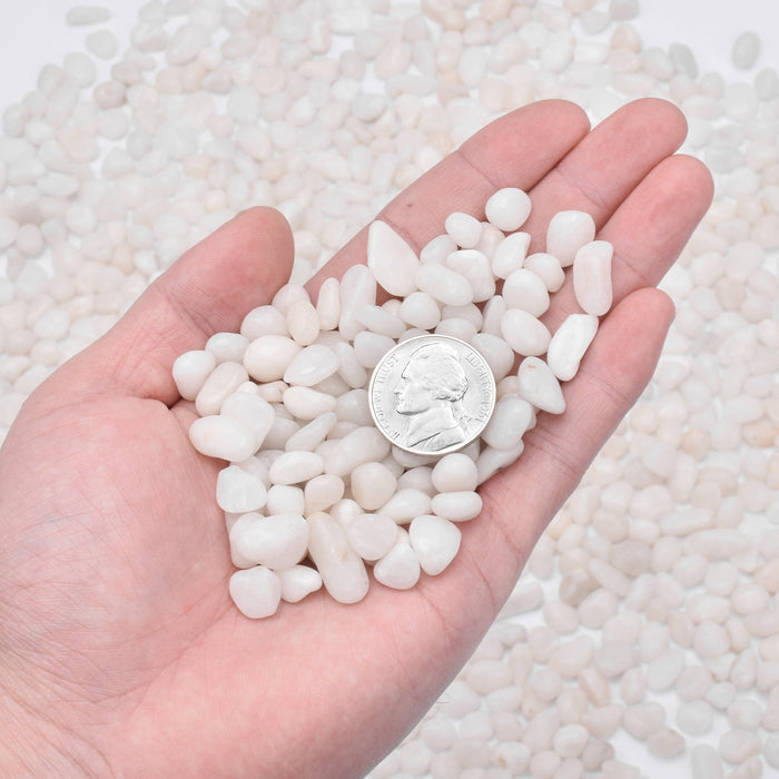 White Polished Pebbles for Succulents Plants Decorative, 9mm-12mm