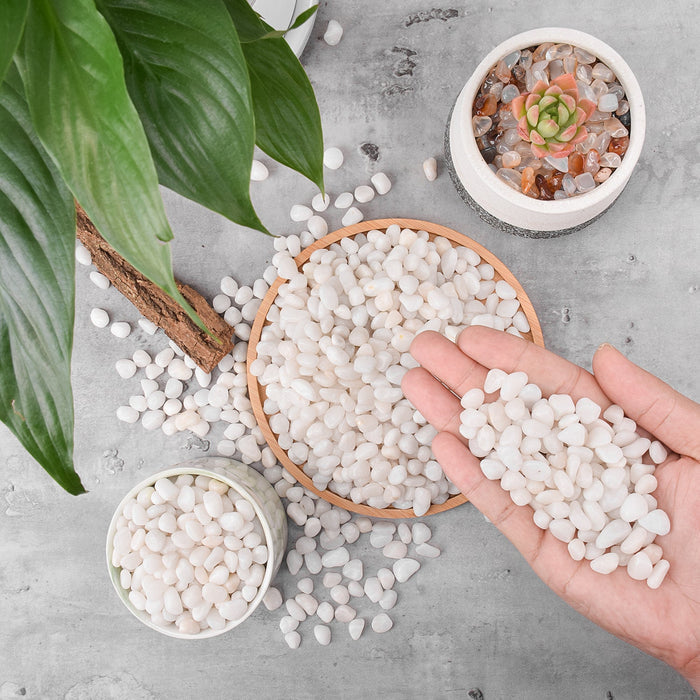 White Polished Pebbles for Succulents Plants Decorative, 9mm-12mm