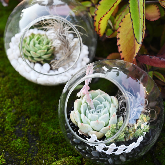 White Polished Pebbles for Succulents Plants Decorative, 9mm-12mm
