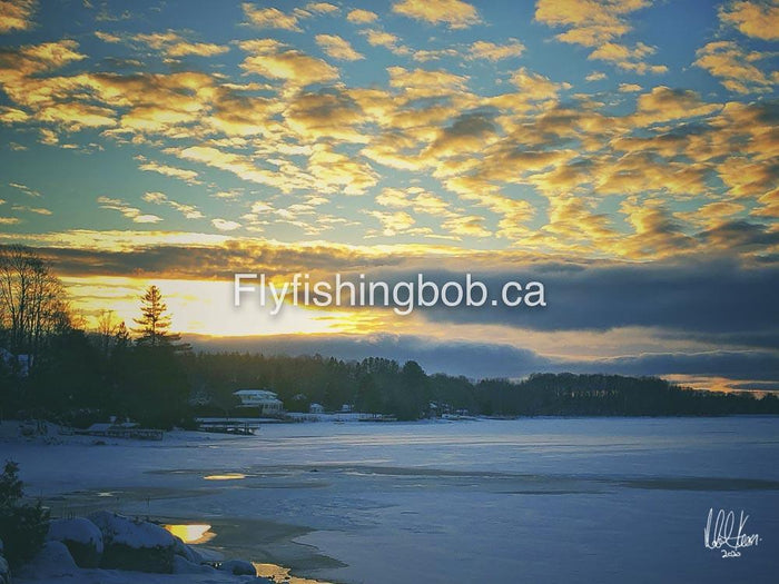 Winter-505