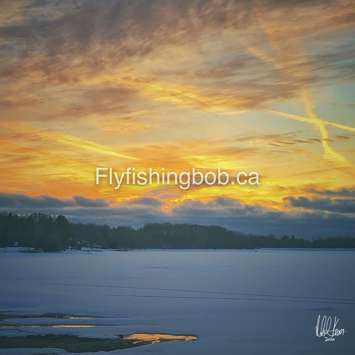 Winter-513