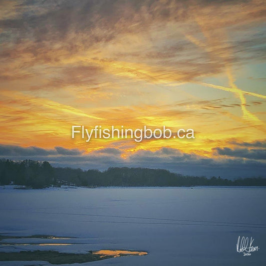 Winter-513