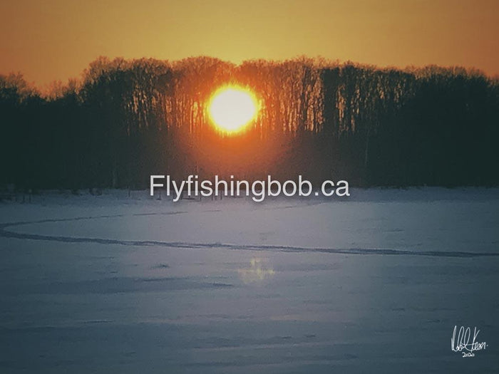 Winter-517