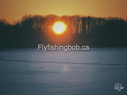 Winter-517