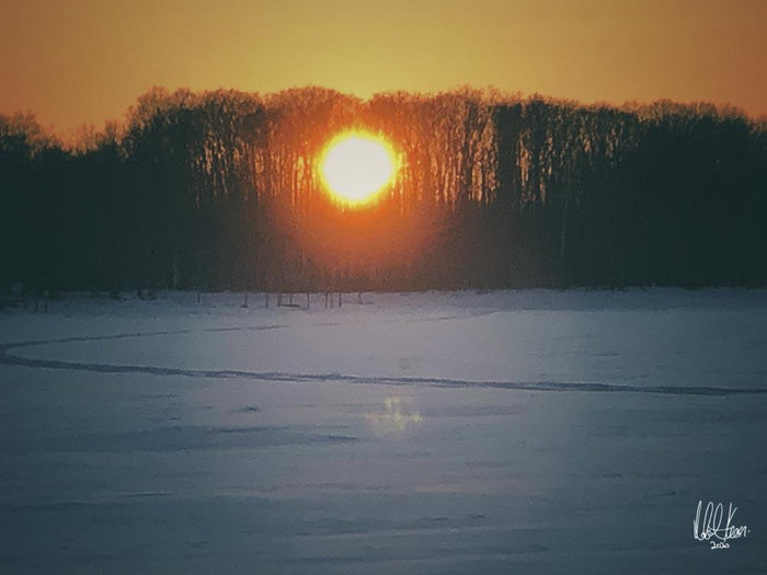 Winter-517