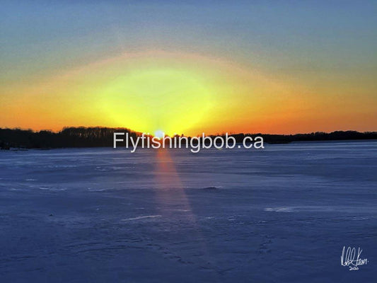 Winter-519