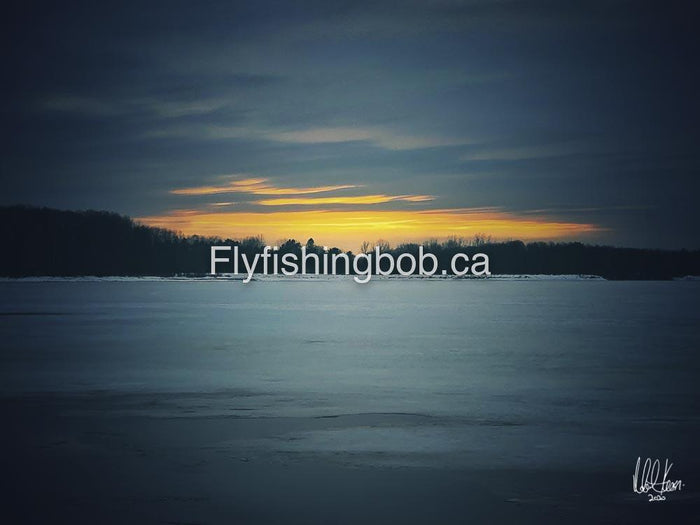 Winter-538