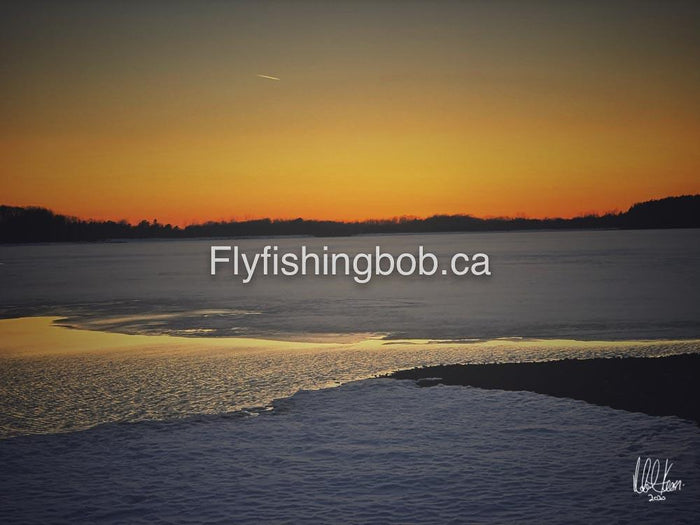 Winter-541
