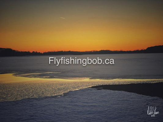 Winter-541