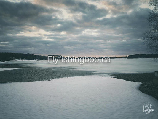 Winter-548