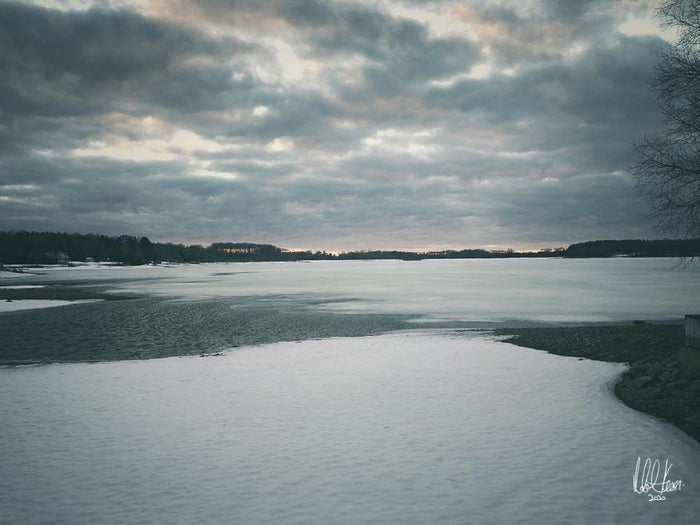 Winter-548